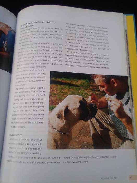 "Understanding your Dog"  Hard cover.