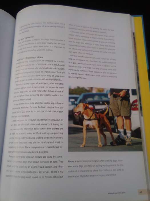 "Understanding your Dog"  Hard cover.