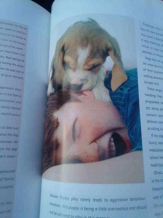 "Understanding your Dog"  Hard cover.
