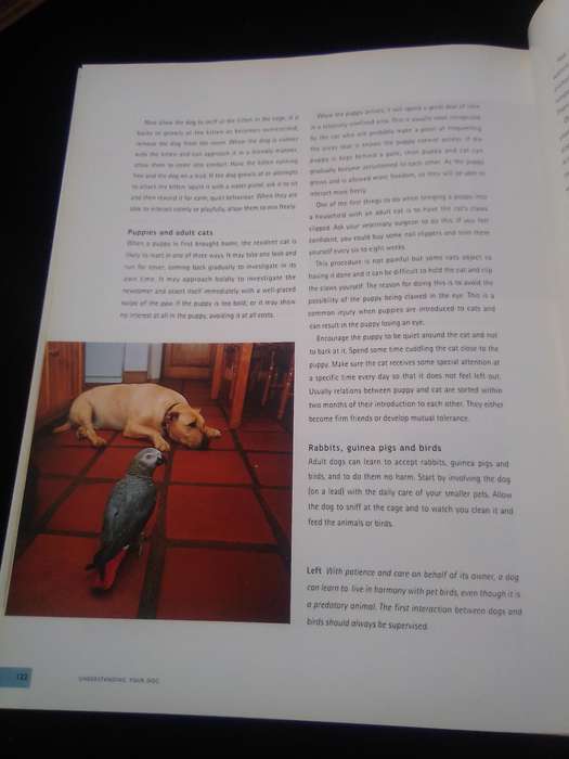 "Understanding your Dog"  Hard cover.