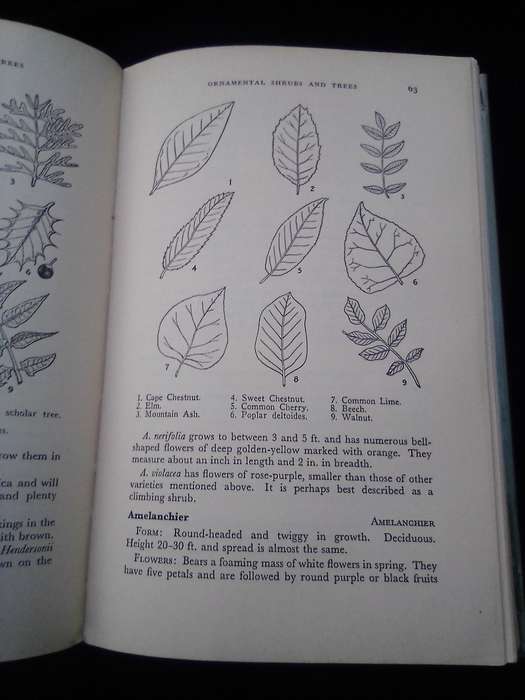 1962. "Ornamental Shrubs and Trees" Hard cover .over.