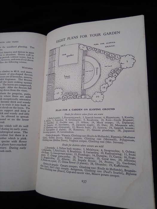 1962. "Ornamental Shrubs and Trees" Hard cover .over.