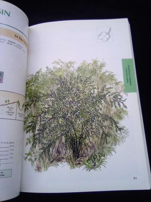"Sappi  Tree Spotting"  Highveld and the Drakensburg". Soft  cover .