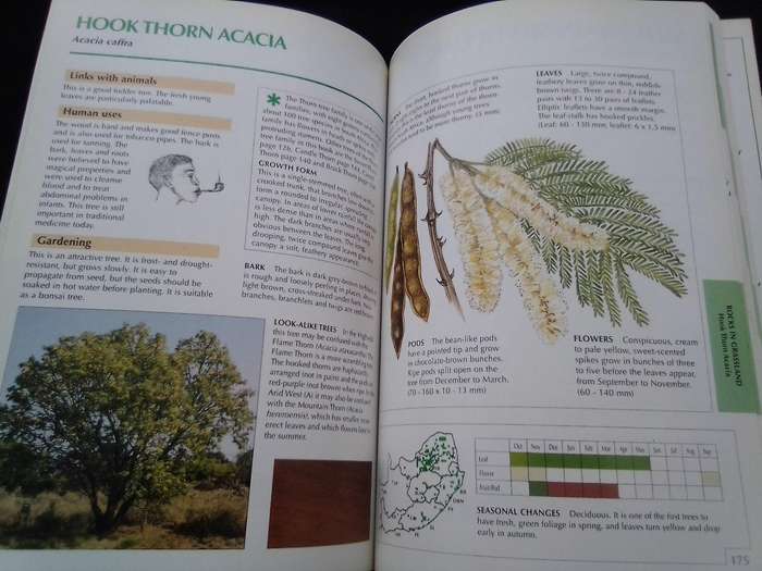 "Sappi  Tree Spotting"  Highveld and the Drakensburg". Soft  cover .