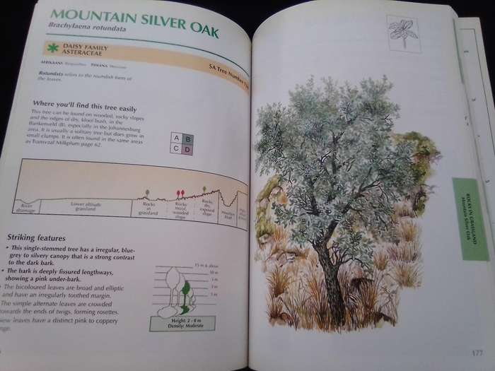 "Sappi  Tree Spotting"  Highveld and the Drakensburg". Soft  cover .