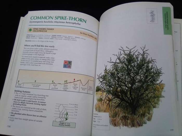 "Sappi  Tree Spotting"  Highveld and the Drakensburg". Soft  cover .