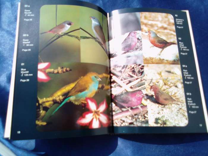 "More Gardem Birds of Southern Africa"  Soft cover.