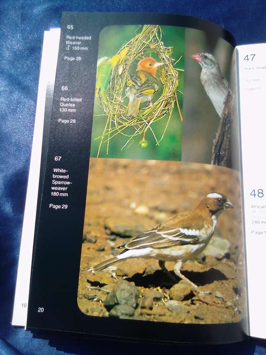"More Gardem Birds of Southern Africa"  Soft cover.
