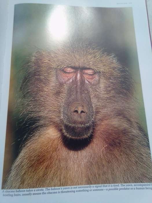 "Reader's Digest Southern Africa Spectacular World of Wildlife". Hard  cover.
