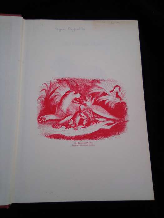 "Cry for the Lions". Gareth Patterson.  Hard cover.