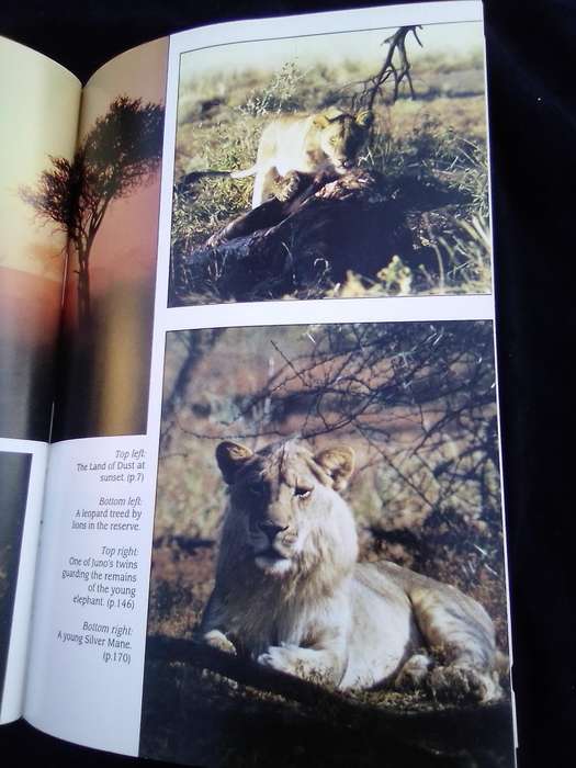 "Cry for the Lions". Gareth Patterson.  Hard cover.