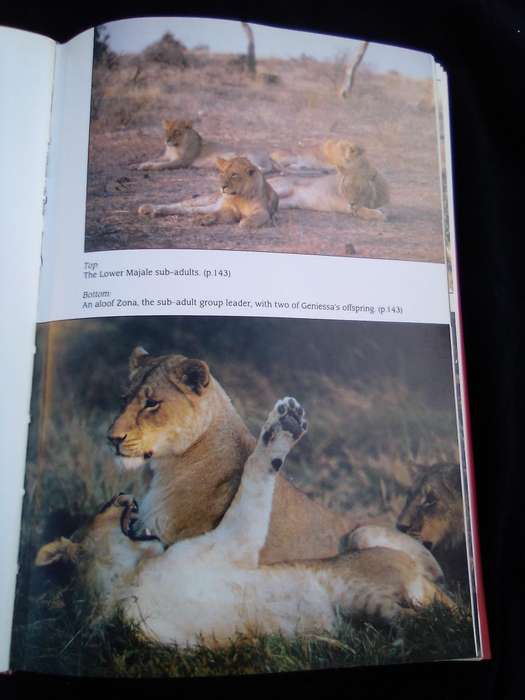 "Cry for the Lions". Gareth Patterson.  Hard cover.
