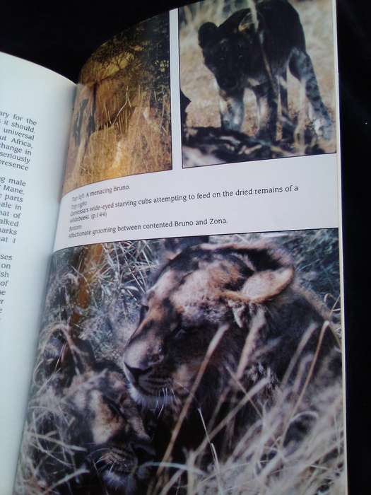 "Cry for the Lions". Gareth Patterson.  Hard cover.