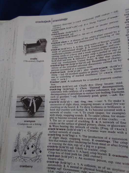 "The American Heritage Dictionary"  Hard cover.