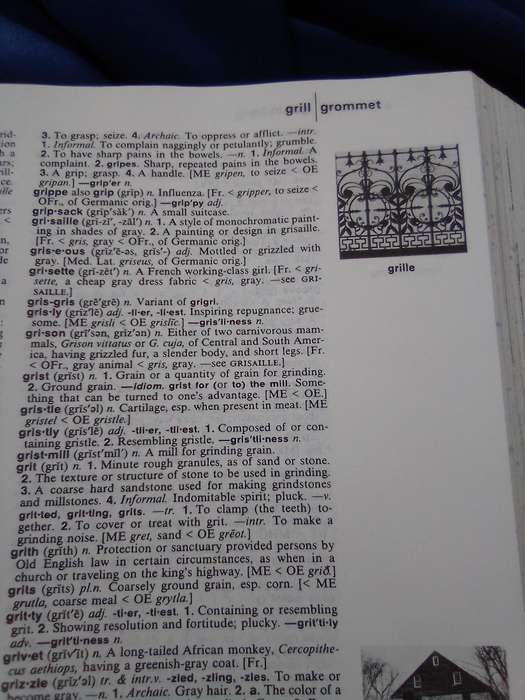 "The American Heritage Dictionary"  Hard cover.