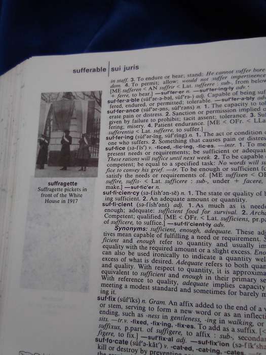 "The American Heritage Dictionary"  Hard cover.