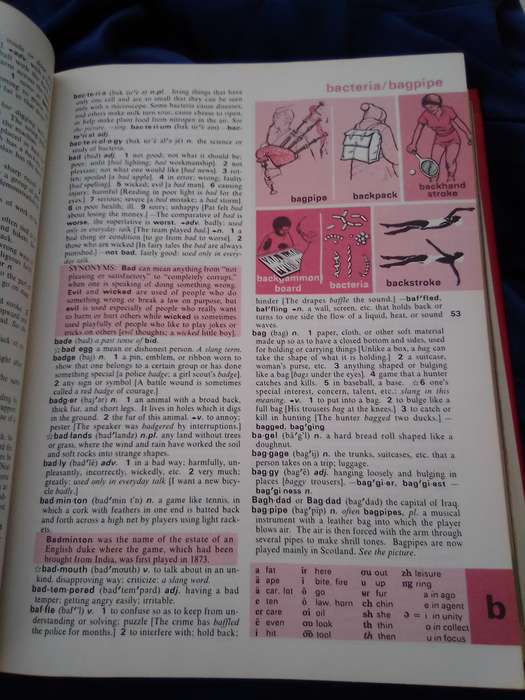 "Webster's New World Dictionary forYoung Readers"  Hard cover.