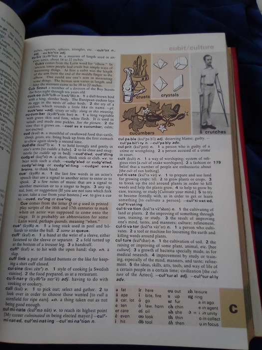 "Webster's New World Dictionary forYoung Readers"  Hard cover.