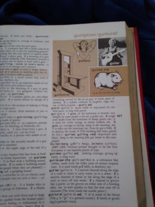 "Webster's New World Dictionary forYoung Readers"  Hard cover.
