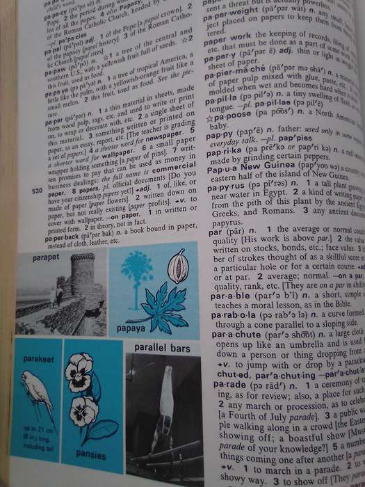 "Webster's New World Dictionary forYoung Readers"  Hard cover.