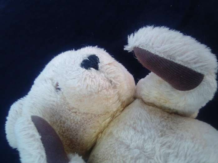Dean's Teddy  bear.  Made in Gt  Britain.