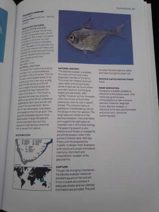 "A Guide to the Common Sea  Fishes of Southern Africa"  Hard copy.