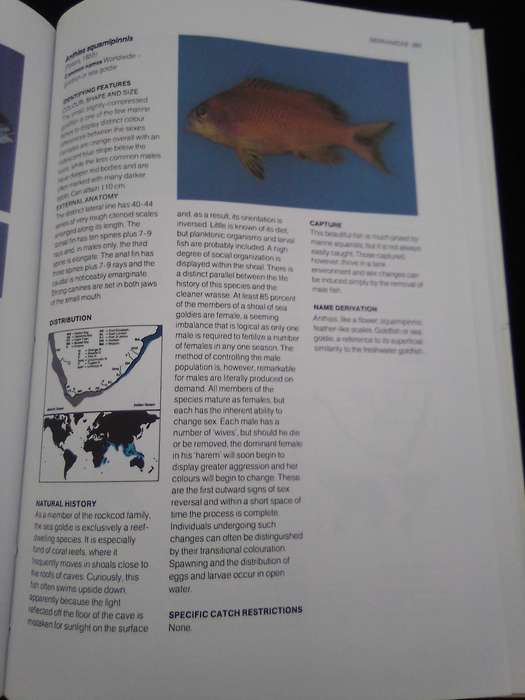"A Guide to the Common Sea  Fishes of Southern Africa"  Hard copy.