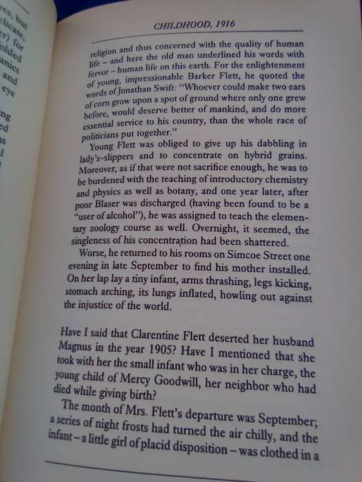 "The Stone Diaries"  Carol Shields.  Soft cover.