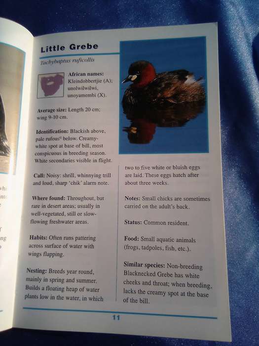 "Sasol First Field Guide to Common Birds of Southern Africa". Pocketbook-sized soft cover.