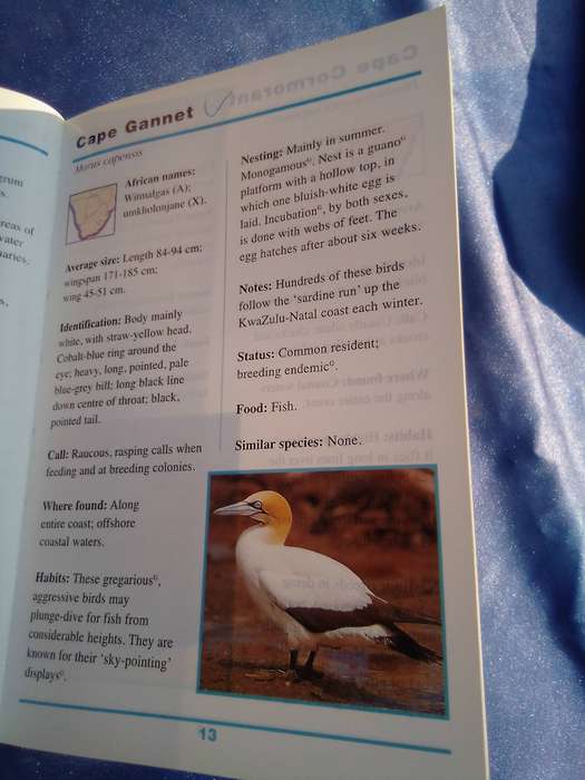 "Sasol First Field Guide to Common Birds of Southern Africa". Pocketbook-sized soft cover.