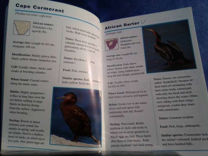 "Sasol First Field Guide to Common Birds of Southern Africa". Pocketbook-sized soft cover.