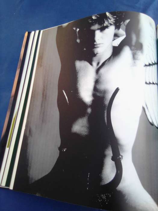 "Adam". The Male Figure in Art.  Hard cover.