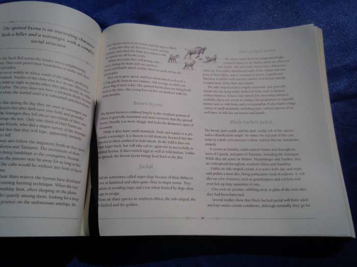 "African Safari Journal"  Excellent condition.  Hard cover.