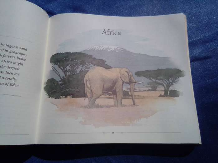 "African Safari Journal"  Excellent condition.  Hard cover.