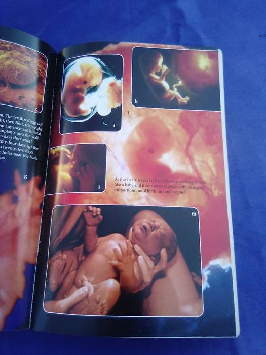 "The Greatest Show on Earth". Richard Dawkins.  Soft cover.