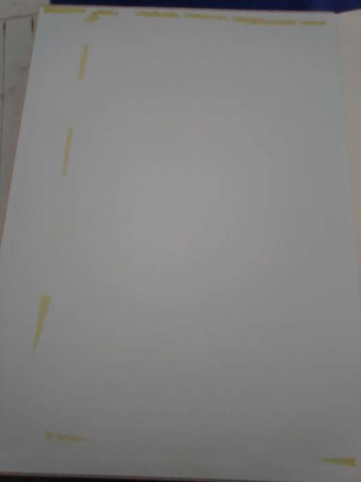 LARGE book.  "The paintings of Norman Light on for Roberts Birds of Southern Africa" A3-sized hard