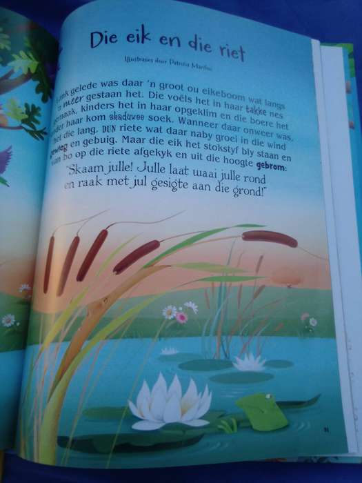 "Die mooiste fabels"  Hard cover.