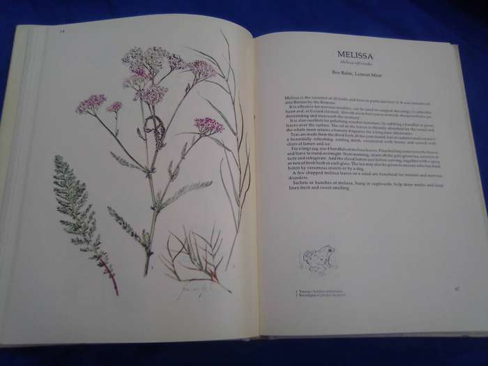 "Margaret Robert's Book of Herbs. Hard cover.