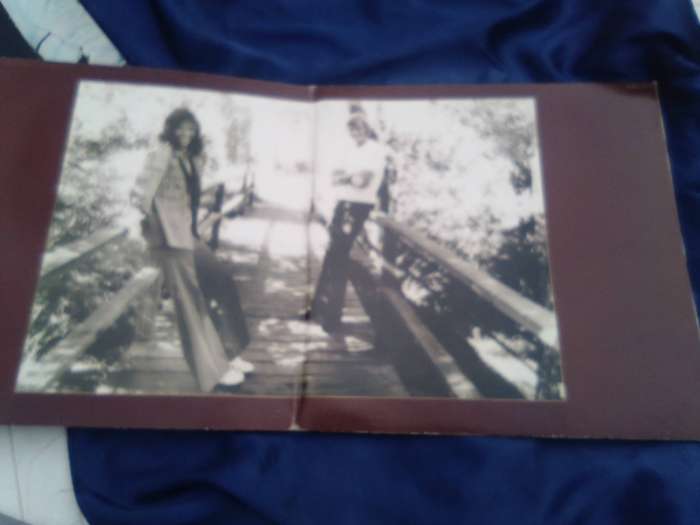 L.P. Vinyl Record.  Carpenters.  The Singles 1969-1973.  VG  VG
