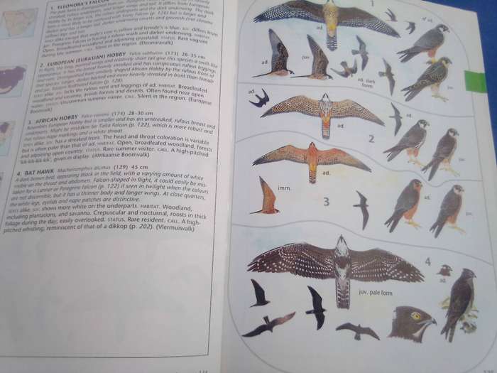 Sasol Birds of Southern Africa". Soft cover.