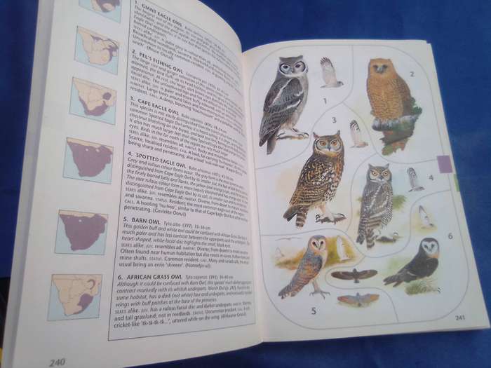 Sasol Birds of Southern Africa". Soft cover.