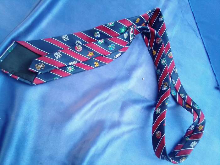 Cricket tie.  ICC Cricket World Cup Series 2013.