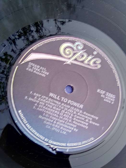 L.P. Vinyl Record.. Will to Power.   VG  VG