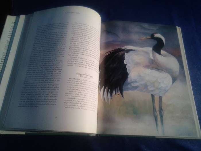 "Endangered Birds"  Hard copy.