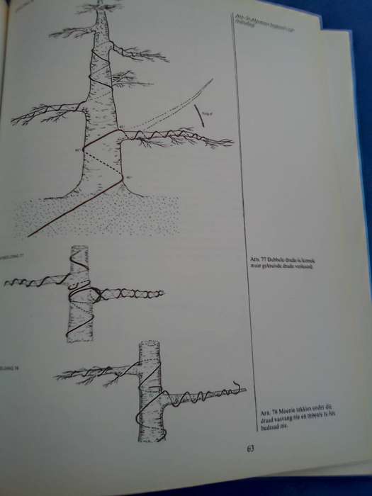 "Bemeester Bonsai". Hard cover.