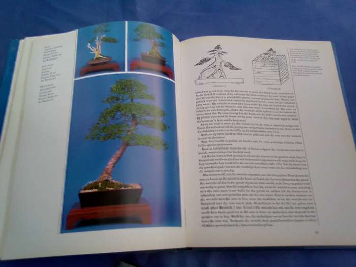 "Bemeester Bonsai". Hard cover.