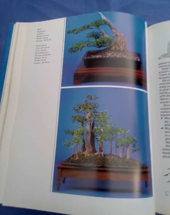 "Bemeester Bonsai". Hard cover.