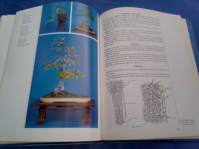 "Bemeester Bonsai". Hard cover.