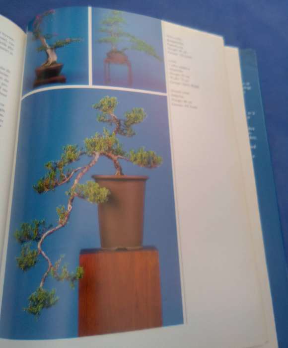 "Bemeester Bonsai". Hard cover.