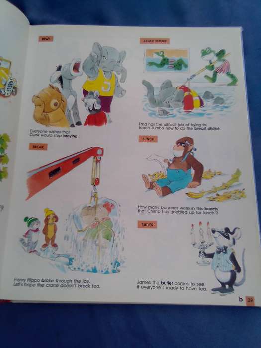 "The Teddy  Bear's Dictionary"   Hard cover.